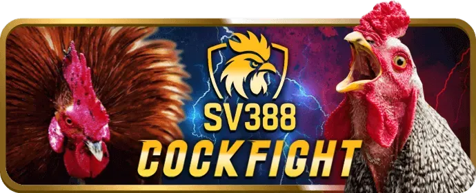Bàn chơi Blackjack với chip và thẻ bài